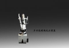 单层玻璃反应釜DGN-5L